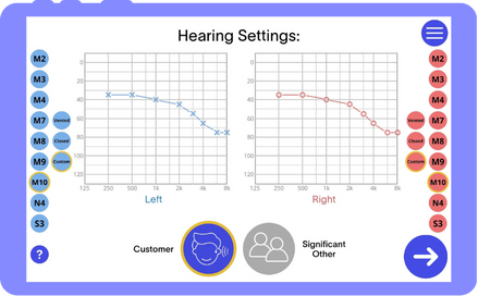 Audiogram input screen for hearing aid demo